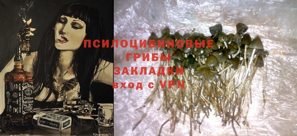 меф Белокуриха
